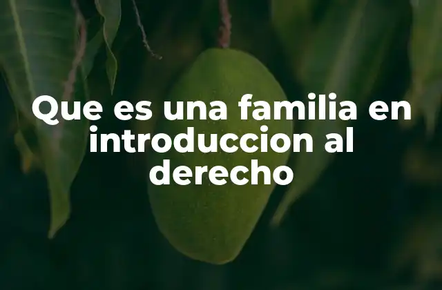 Que es una Familia en Introduccion Al Derecho