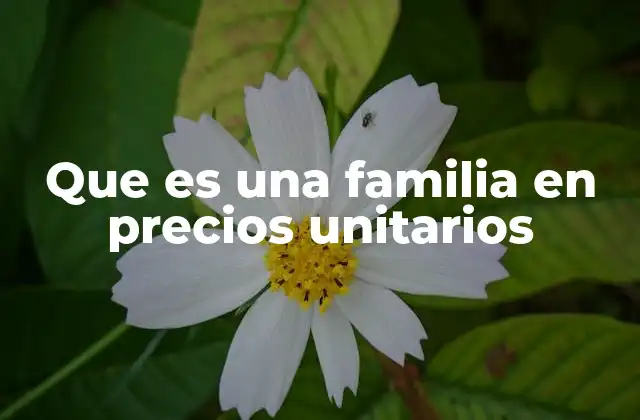Que es una Familia en Precios Unitarios