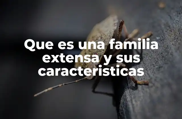 Que es una Familia Extensa y Sus Caracteristicas