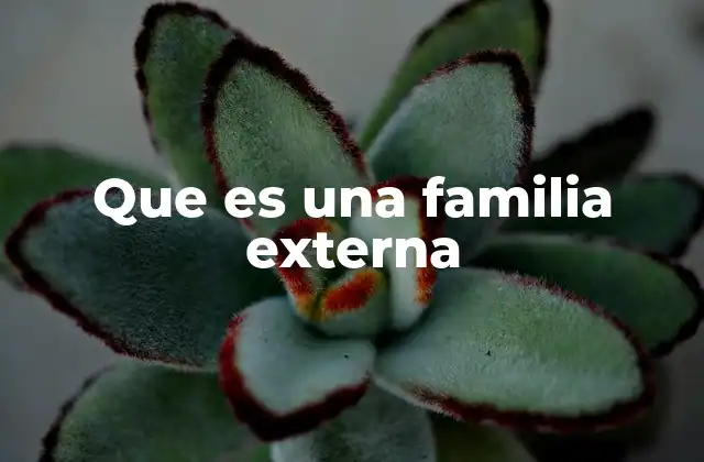 Que es una Familia Externa 2 La importancia de las redes de apoyo emocional fuera de los lazos sanguíneos