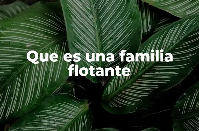 Que es una Familia Flotante