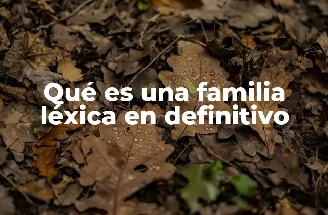 Qué es una Familia Léxica en Definitivo