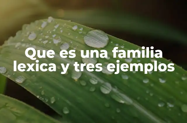 Que es una Familia Lexica y Tres Ejemplos