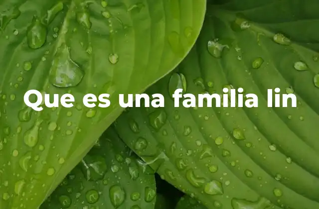 El legado de una familia con raíces en la Revolución China