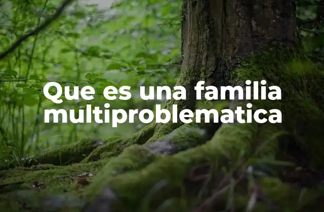 Que es una Familia Multiproblematica