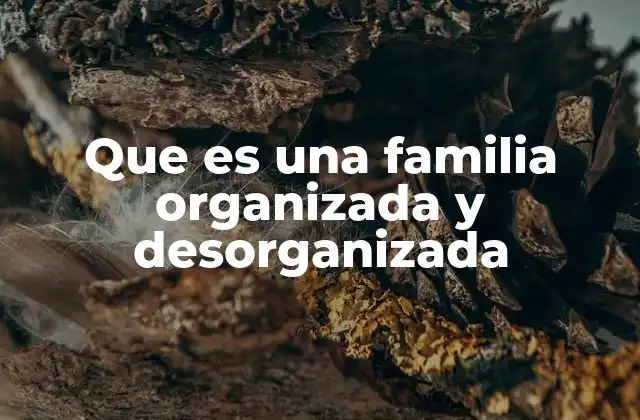Que es una Familia Organizada y Desorganizada