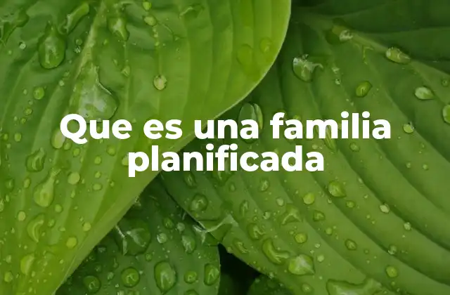 Que es una Familia Planificada