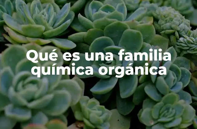 Qué es una Familia Química Orgánica