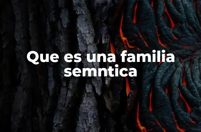 Que es una Familia Semntica