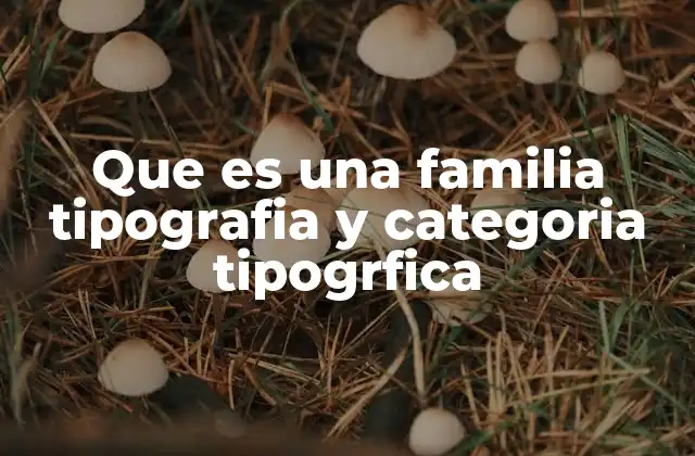 Que es una Familia Tipografia y Categoria Tipogrfica