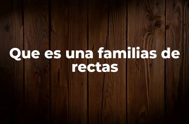Que es una Familias de Rectas