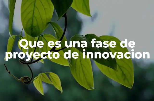 La importancia de estructurar proyectos de innovación en fases