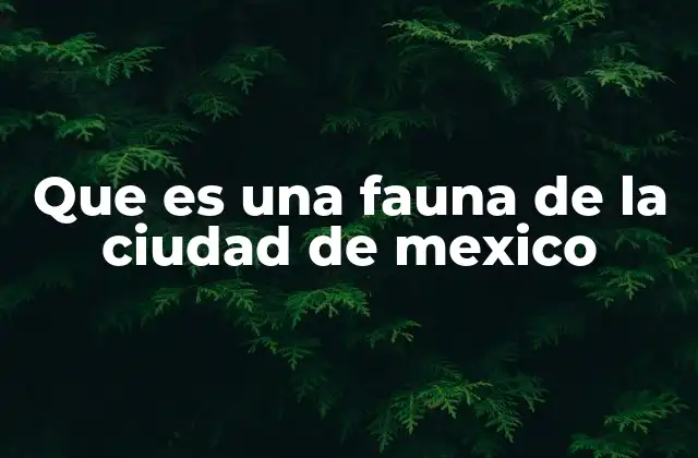Que es una Fauna de la Ciudad de Mexico