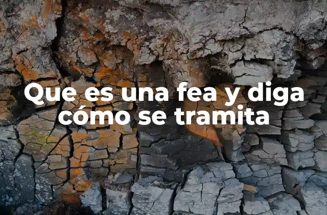 Que es una Fea y Diga Cómo Se Tramita