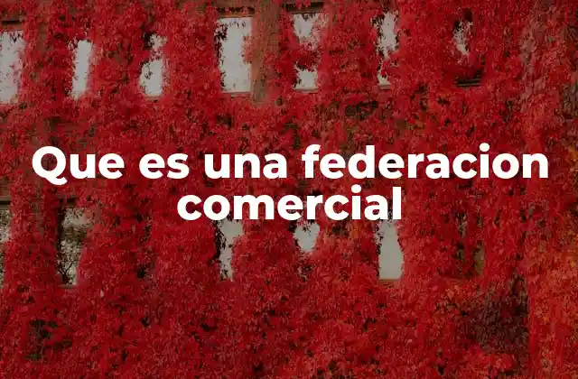 Que es una Federacion Comercial