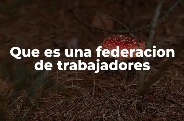 El rol de las federaciones en el tejido sindical