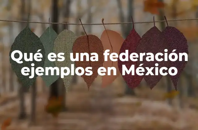 Qué es una Federación Ejemplos en México