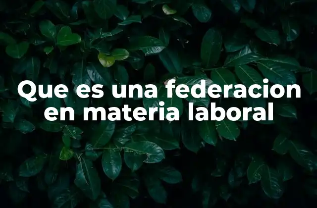 Que es una Federacion en Materia Laboral