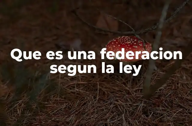 Que es una Federacion Segun la Ley