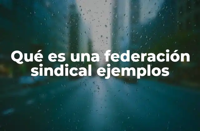 Qué es una Federación Sindical Ejemplos