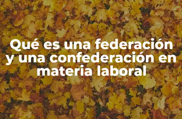 Qué es una Federación y una Confederación en Materia Laboral