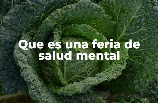 Que es una Feria de Salud Mental