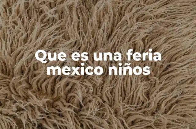 Que es una Feria Mexico Niños