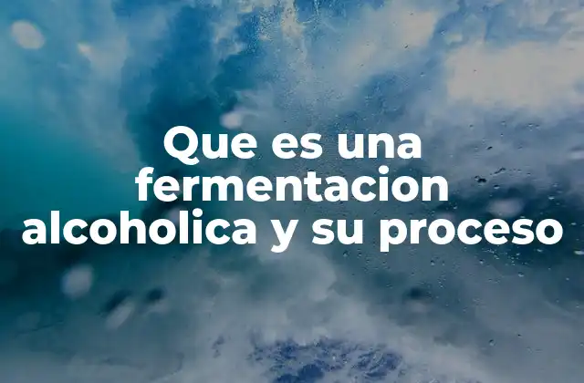 Que es una Fermentacion Alcoholica y Su Proceso 2 La química detrás del proceso