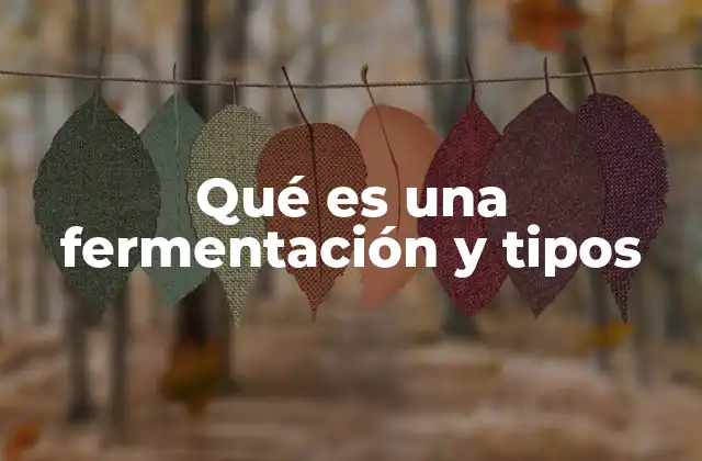 Qué es una Fermentación y Tipos