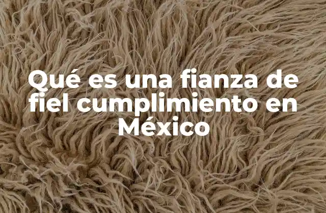Qué es una Fianza de Fiel Cumplimiento en México