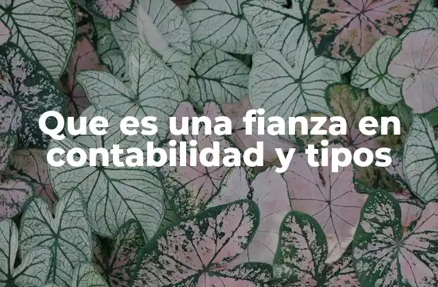 Que es una Fianza en Contabilidad y Tipos