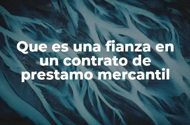 Que es una Fianza en un Contrato de Prestamo Mercantil