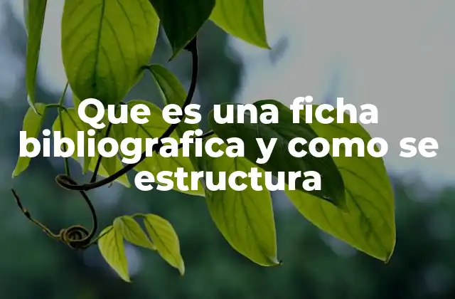 Que es una Ficha Bibliografica y como Se Estructura