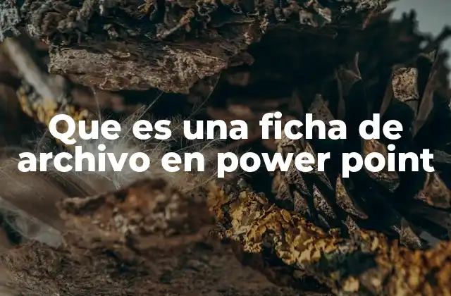 Que es una Ficha de Archivo en Power Point