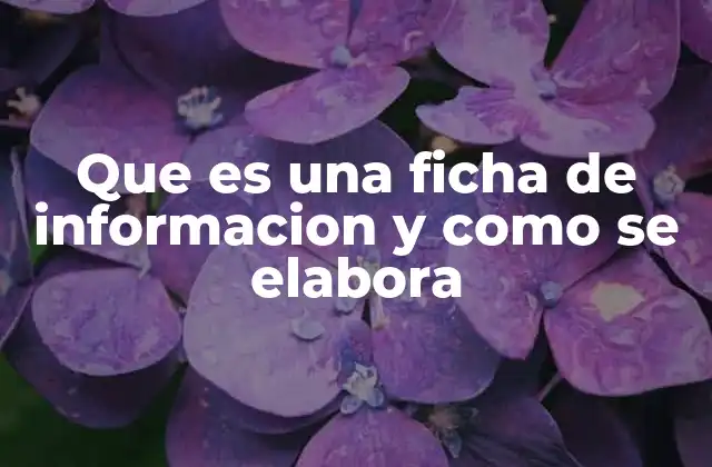 Que es una Ficha de Informacion y como Se Elabora