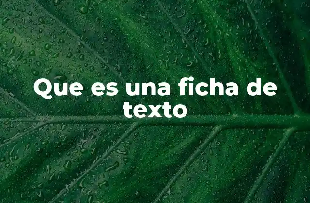 Que es una Ficha de Texto