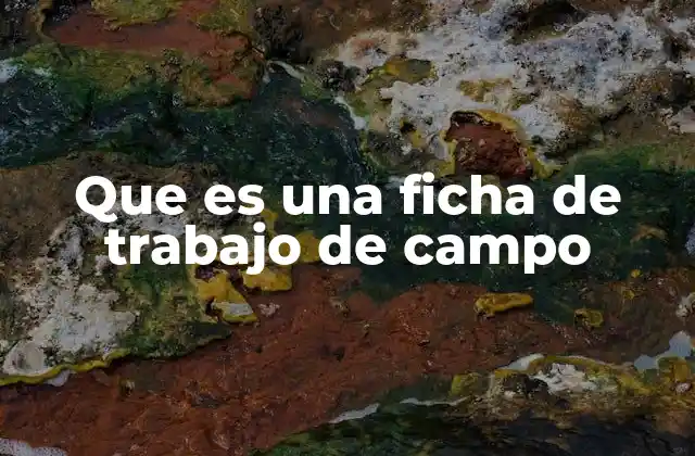 Que es una Ficha de Trabajo de Campo
