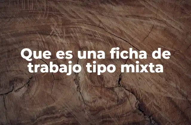 Que es una Ficha de Trabajo Tipo Mixta