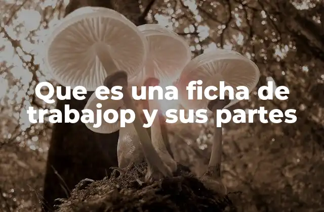 Que es una Ficha de Trabajop y Sus Partes