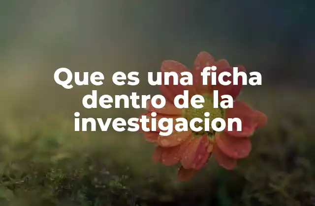 Que es una Ficha Dentro de la Investigacion