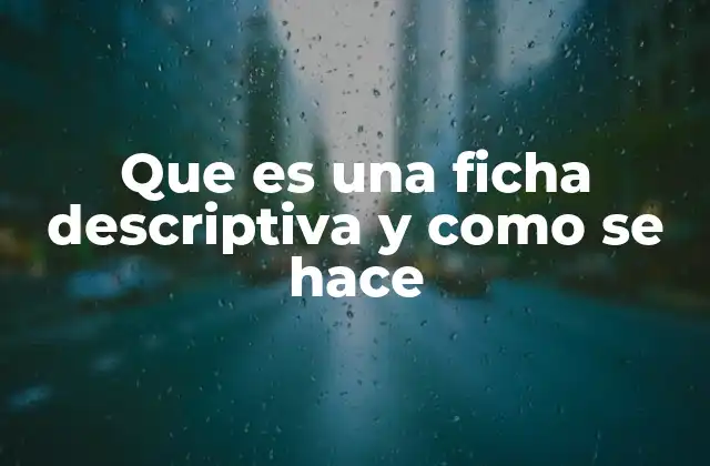 La importancia de la organización en la información