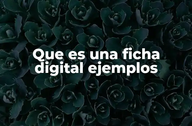 Que es una Ficha Digital Ejemplos