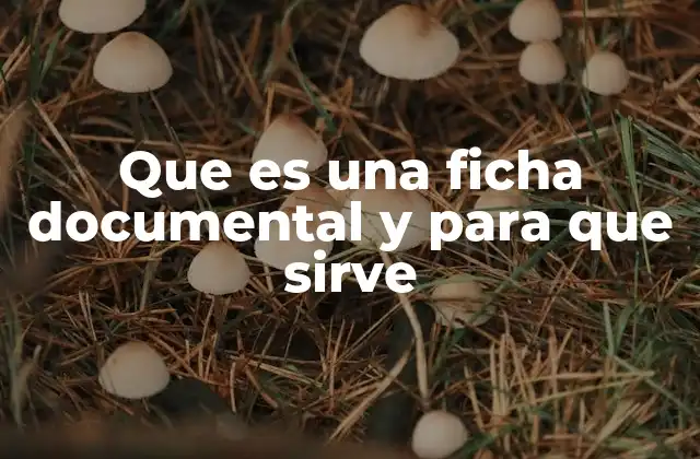 Que es una Ficha Documental y para que Sirve