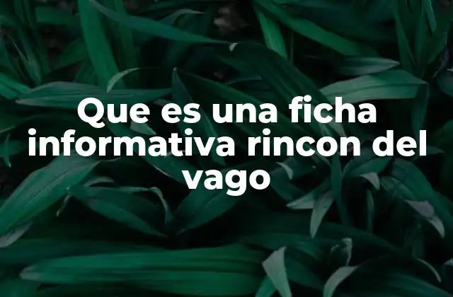 Que es una Ficha Informativa Rincon Del Vago