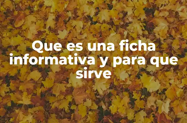 Que es una Ficha Informativa y para que Sirve
