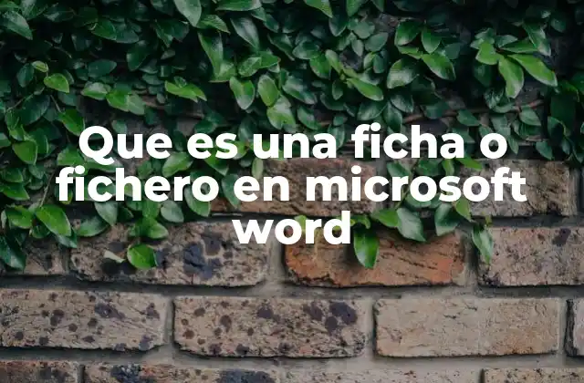 Que es una Ficha o Fichero en Microsoft Word