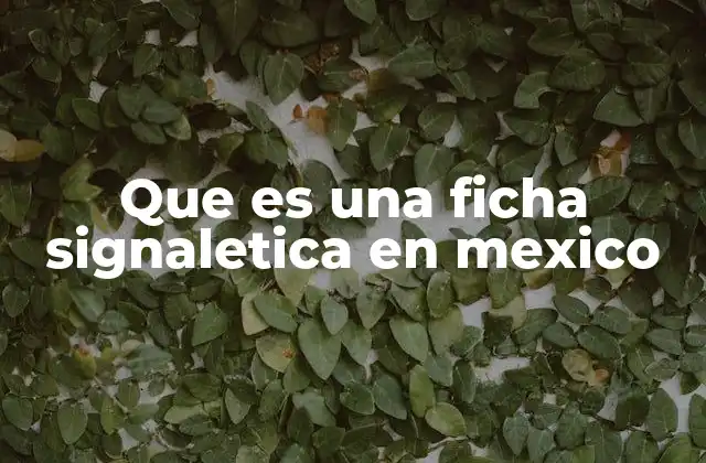 Que es una Ficha Signaletica en Mexico