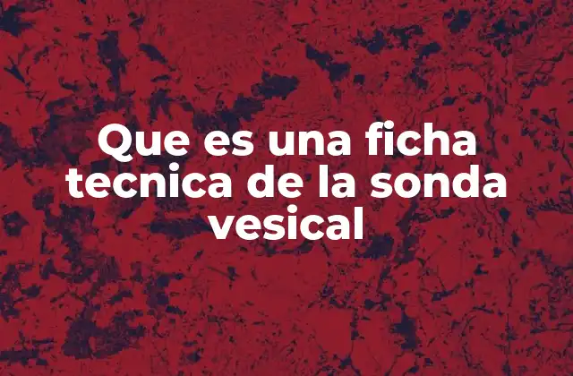 Que es una Ficha Tecnica de la Sonda Vesical