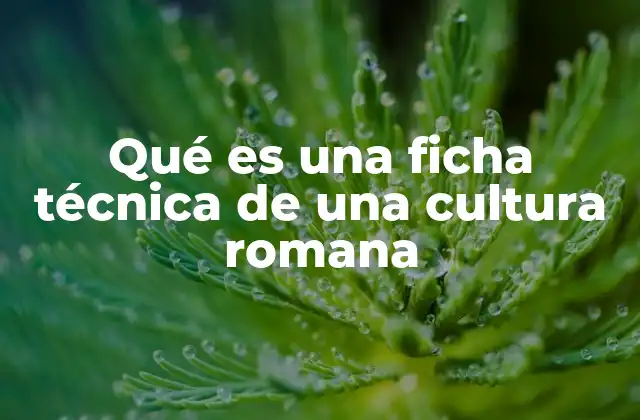 Qué es una Ficha Técnica de una Cultura Romana