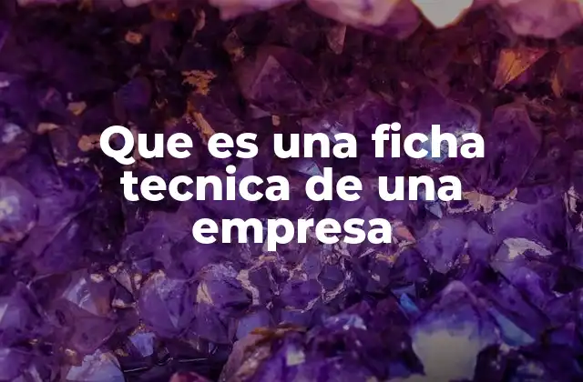 Que es una Ficha Tecnica de una Empresa